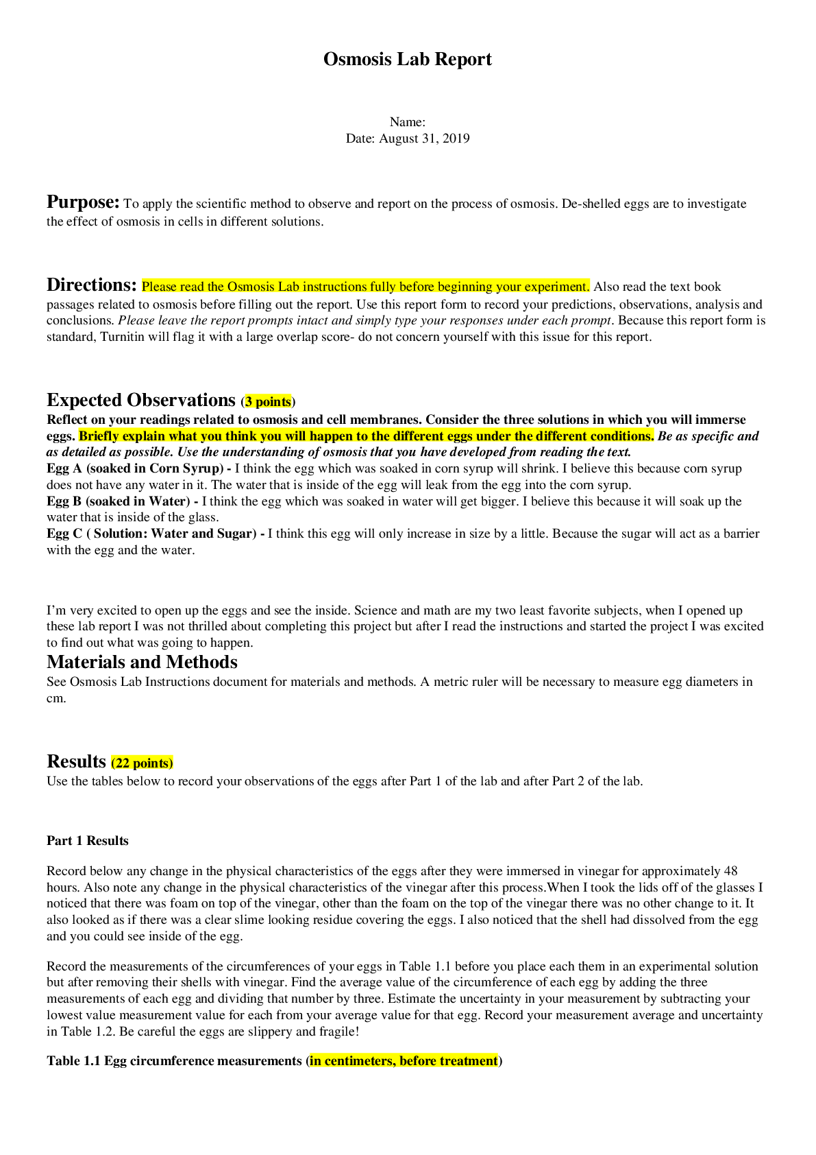 document-preview